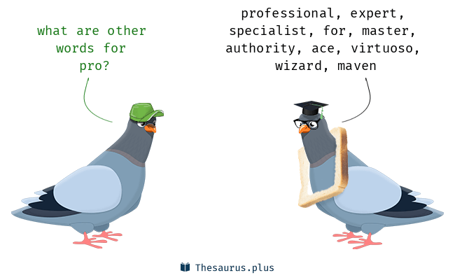 pro thesaurus