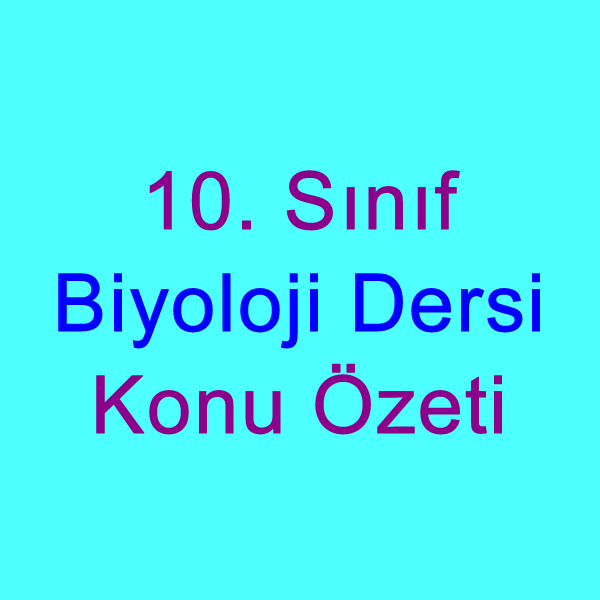 10. sınıf biyoloji ders notları özet 2021