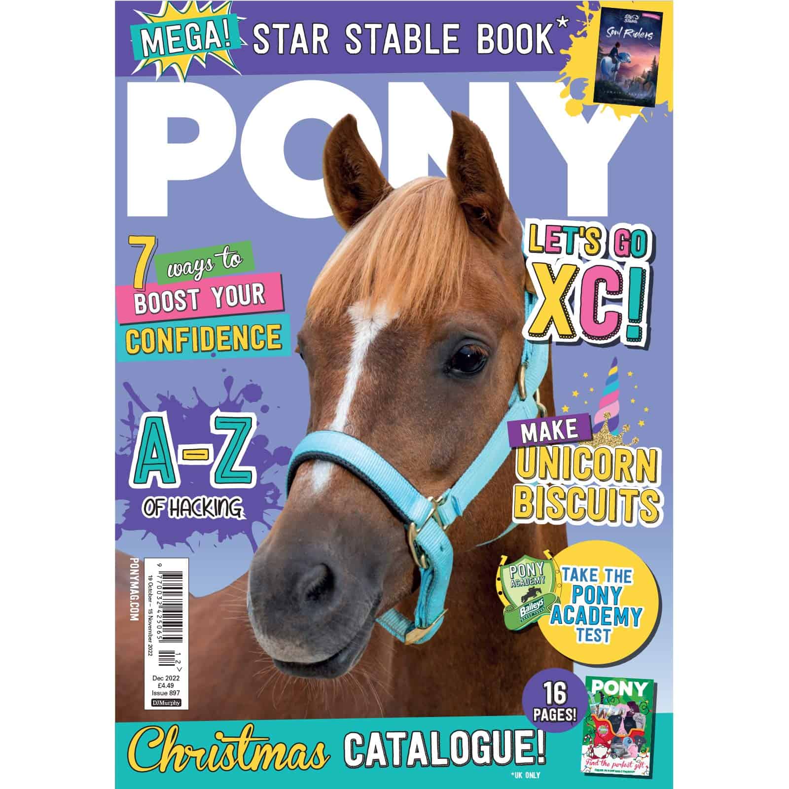 pony mag