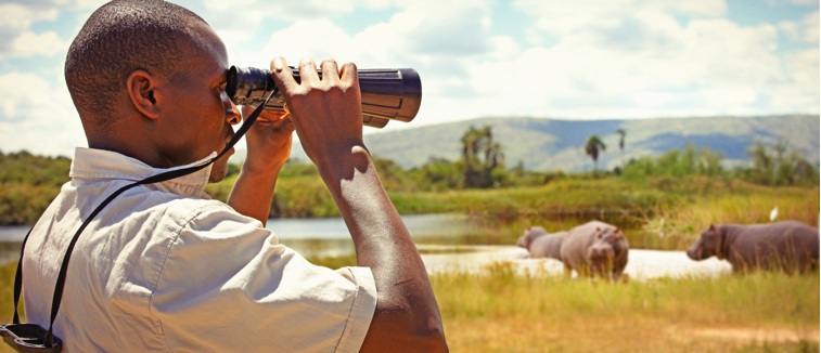 park ranger australia salary