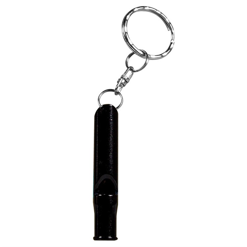 whistle keychain