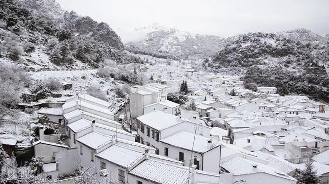 el tiempo en villaluenga del rosario aemet