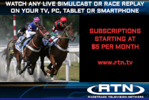 watch aqueduct racing live