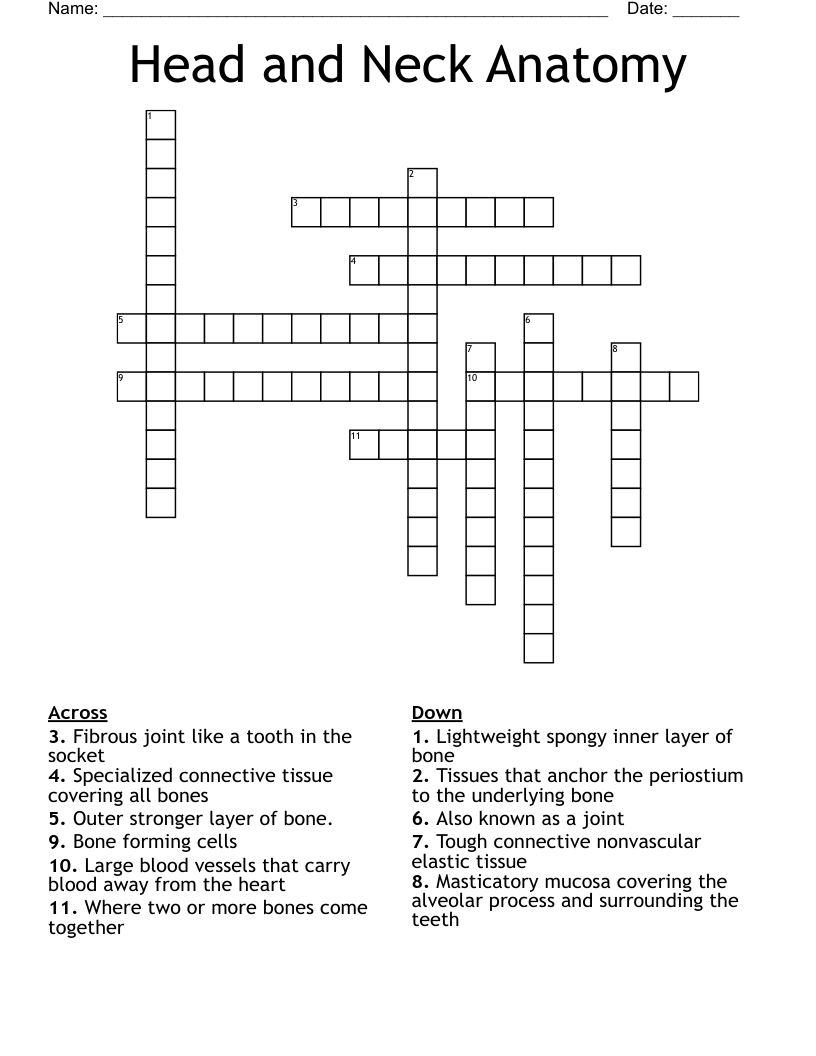 neck cramps crossword clue