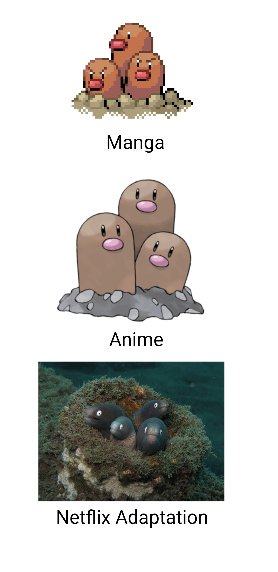 dugtrio meme