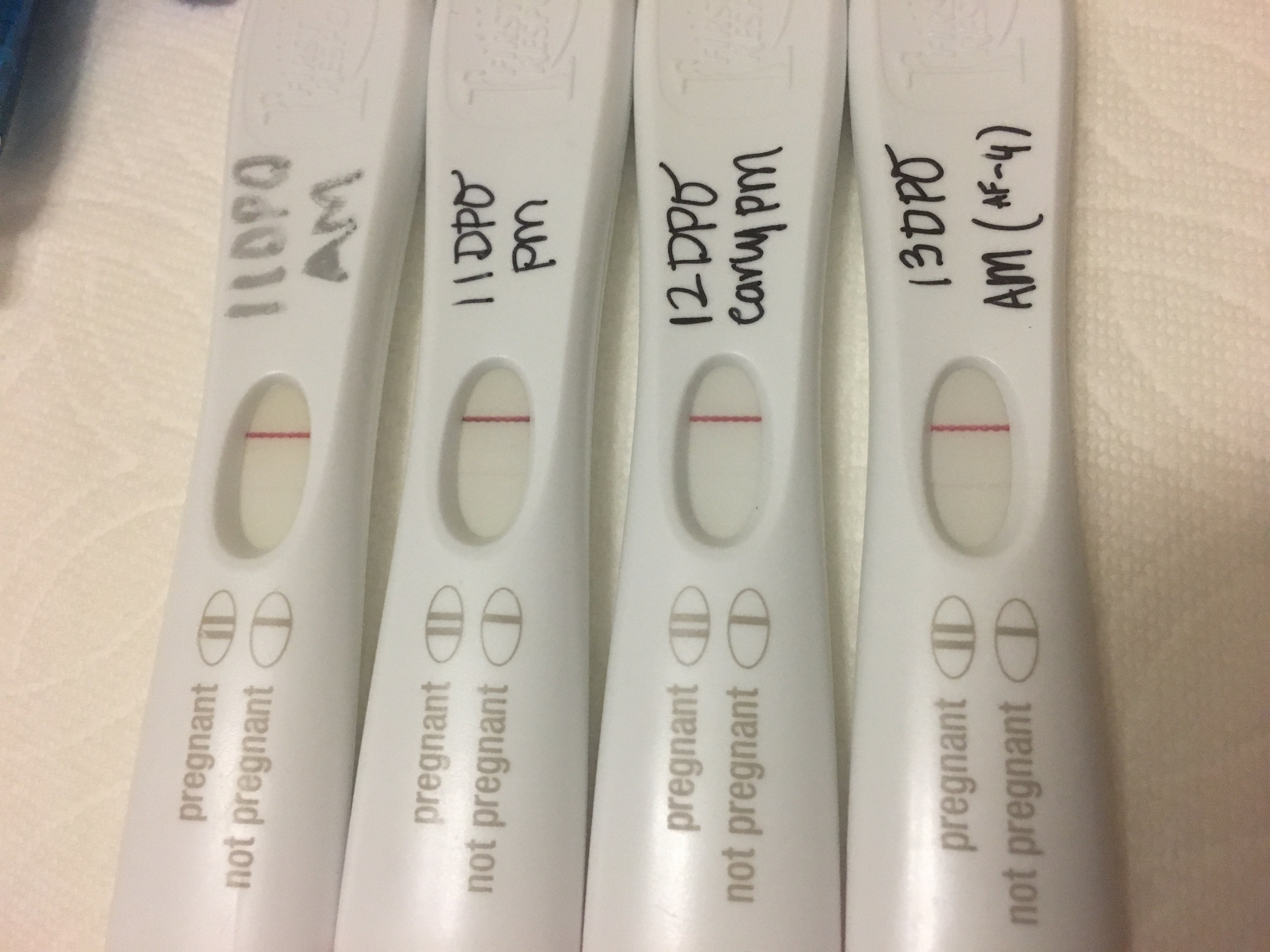 bfn at 13dpo