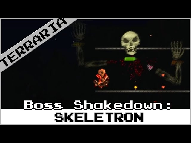 skeletron drops