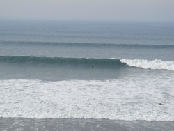 pt leo surf report