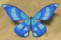 botw butterfly