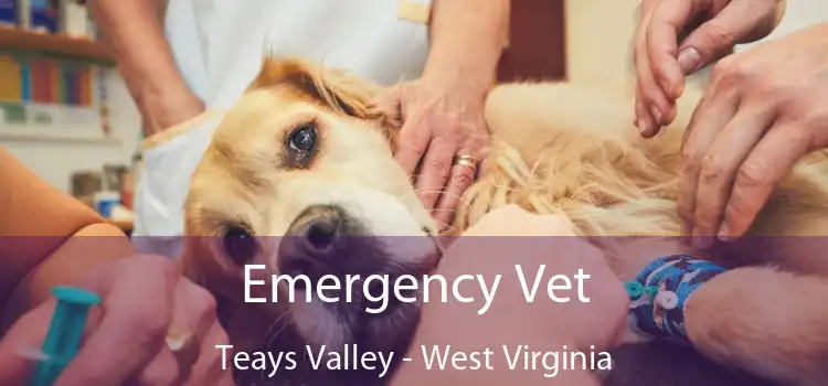 valley vet teays valley wv