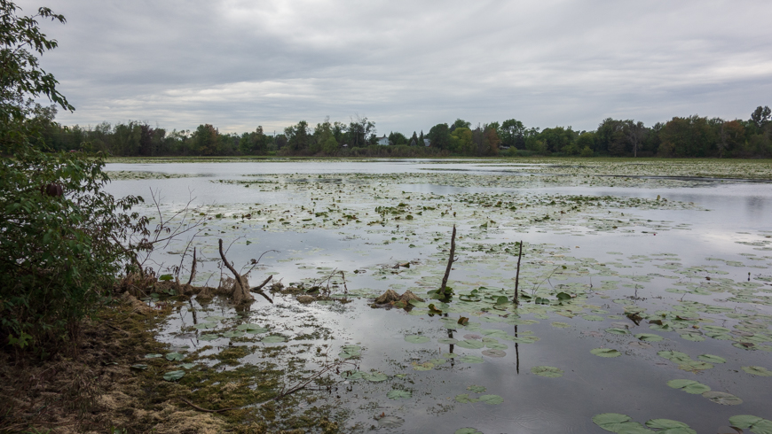 bannister lake conservation area