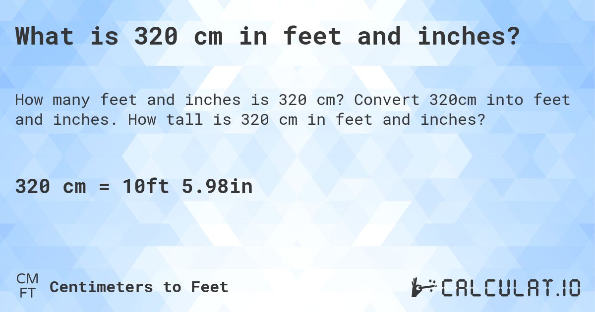 320 cm to feet