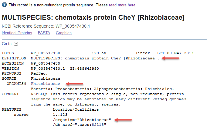 ncbi protein