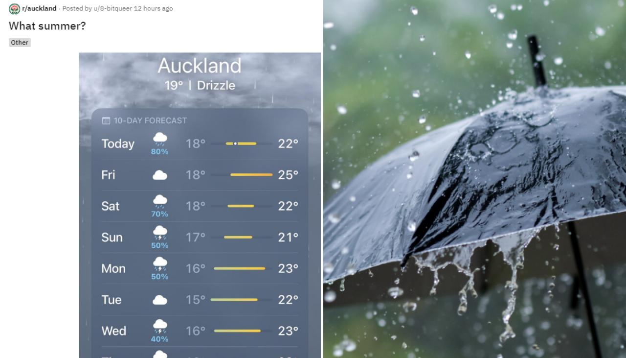 auckland 10 day forecast