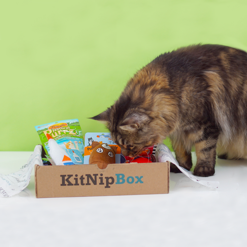 kitnipbox