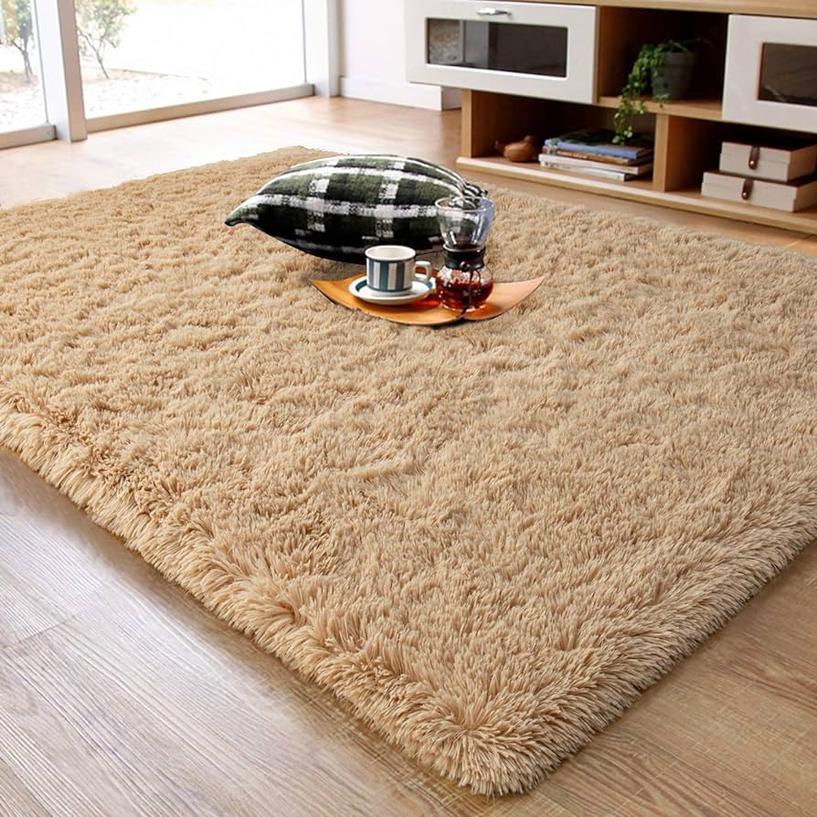 fuzzy living room rugs