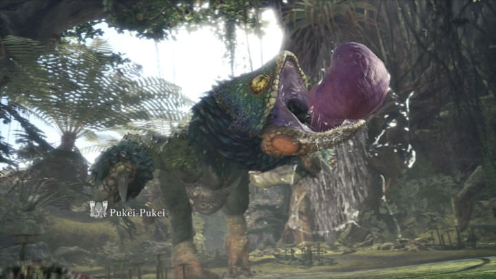 pukei pukei tree