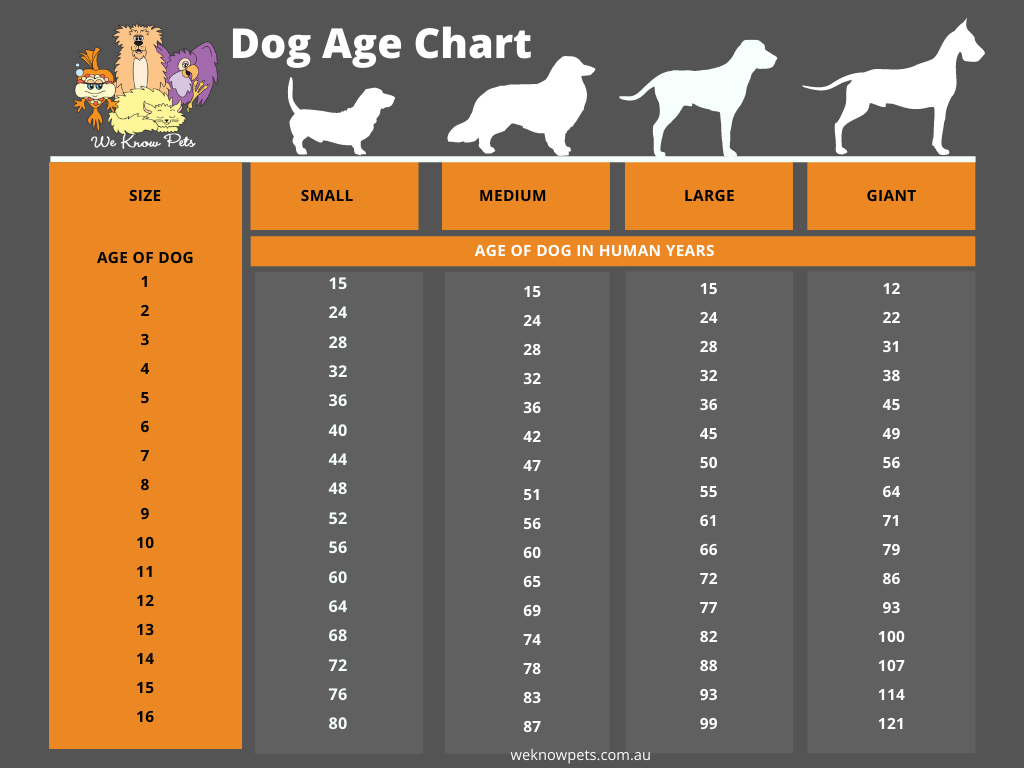 years in dog years chart