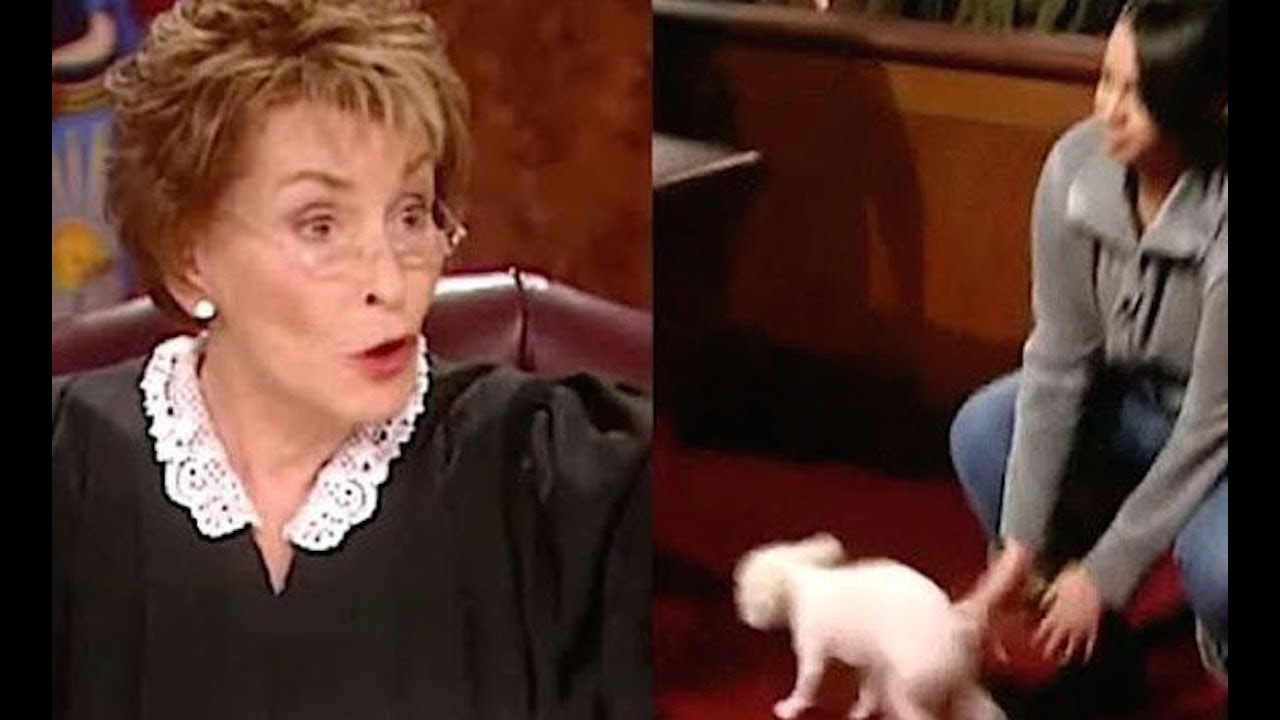 judge judy dog owner full episode