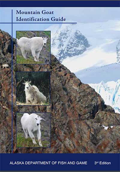 mountain goat - dinar detectives