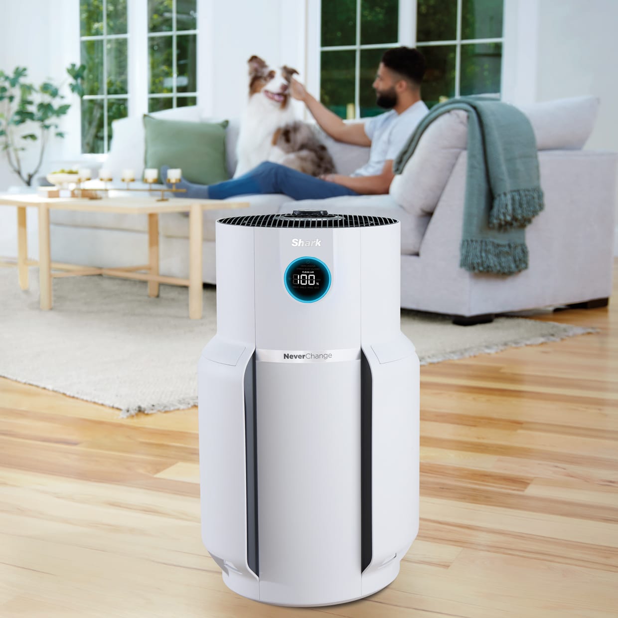 shark air purifier