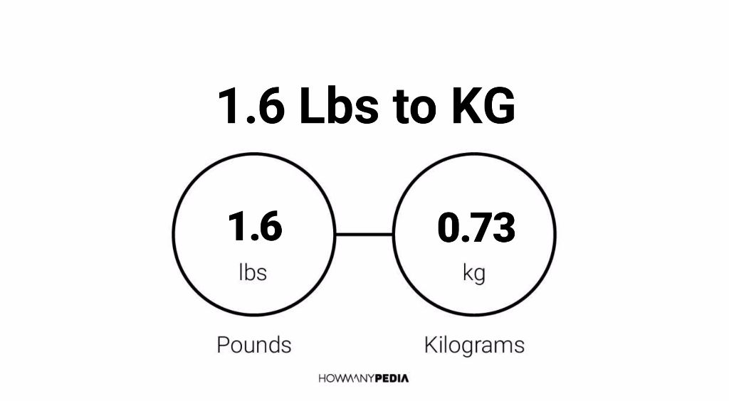 1.6 kg en lbs