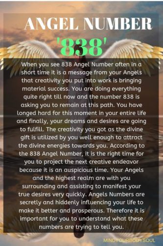 838 angel number