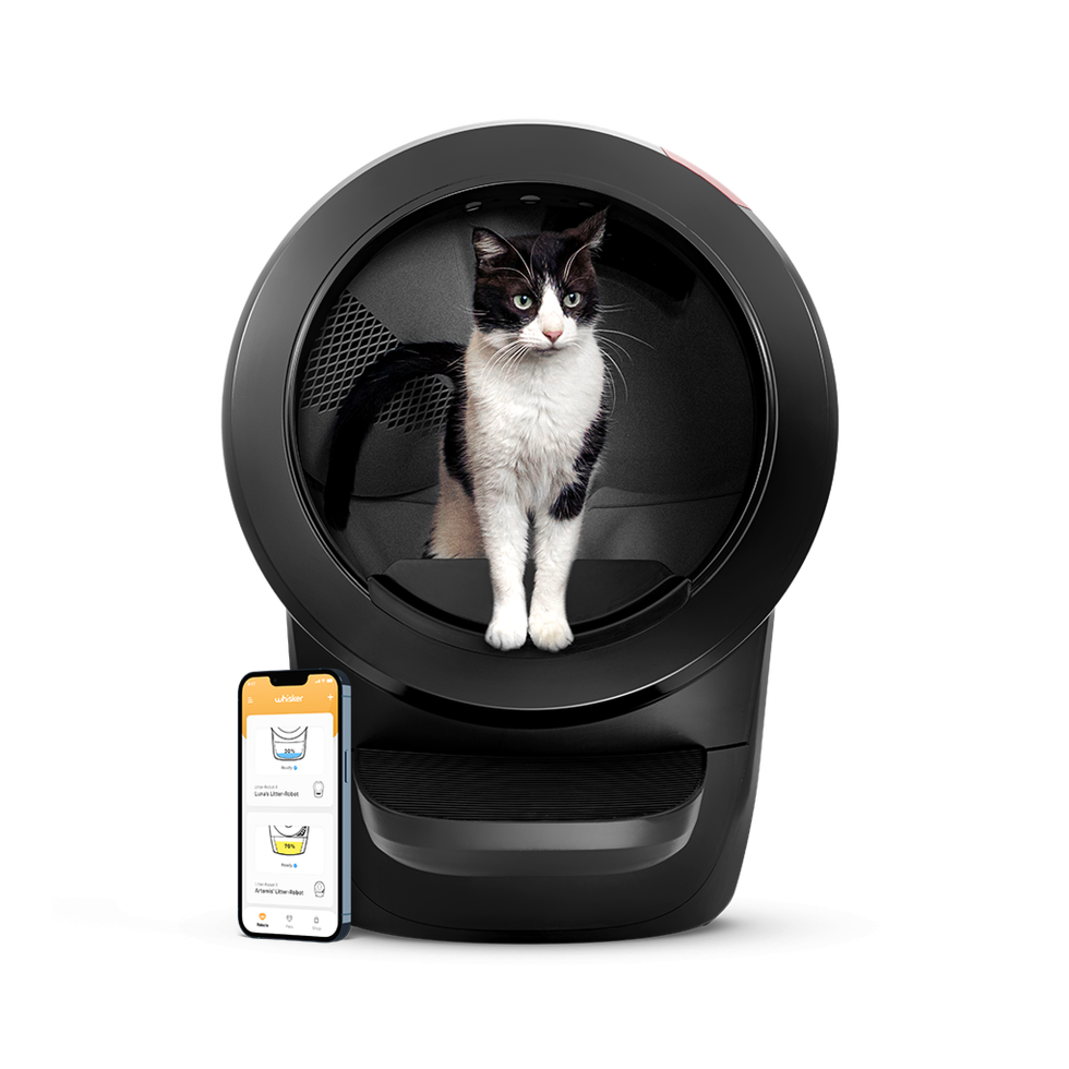 best rated cat litter box