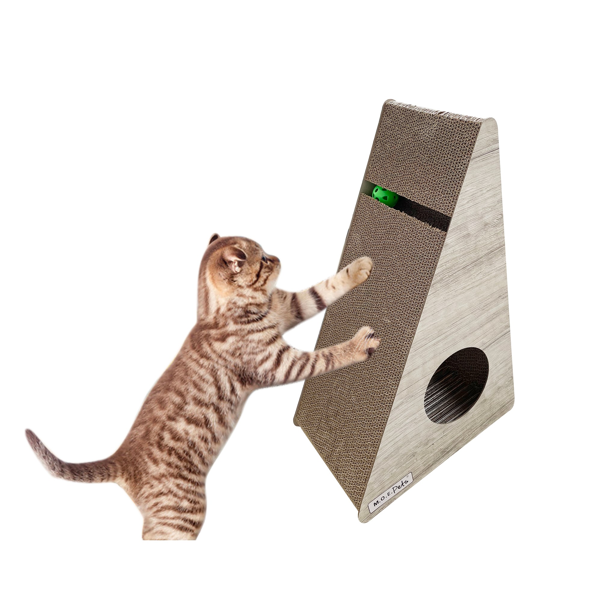 cat scratch toy