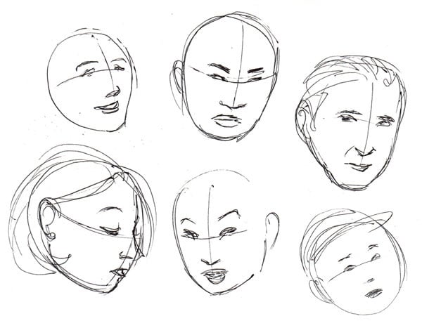 face anatomy drawing