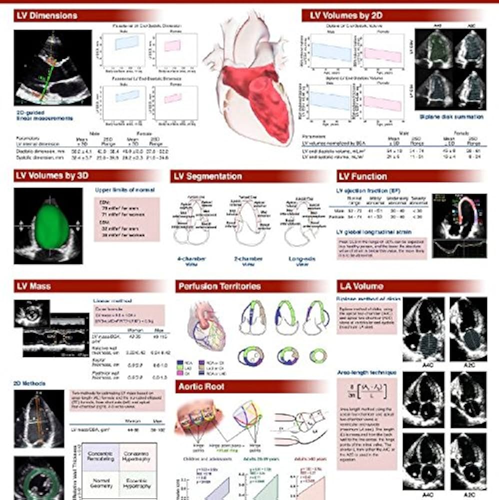 echocardiography poster