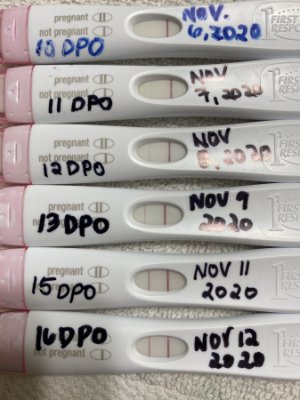 16dpo pregnancy test