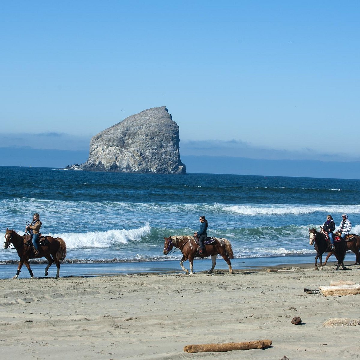 green acres beach & trail rides