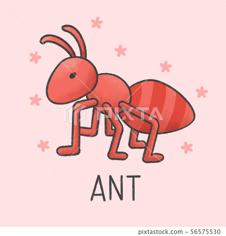 cute ant