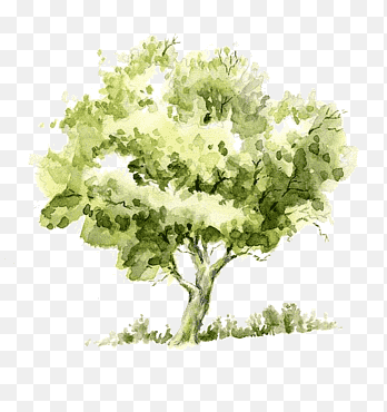 watercolor tree png