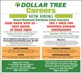 dollar tree stores hiring