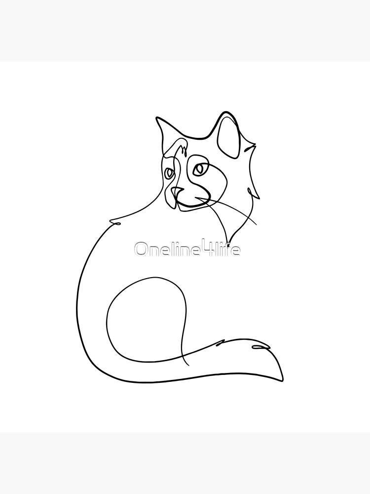 cat continuous line drawing