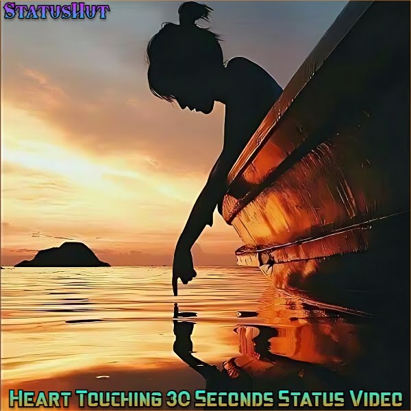 true love heart touching whatsapp status video download