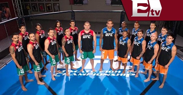 the ultimate fighter 19