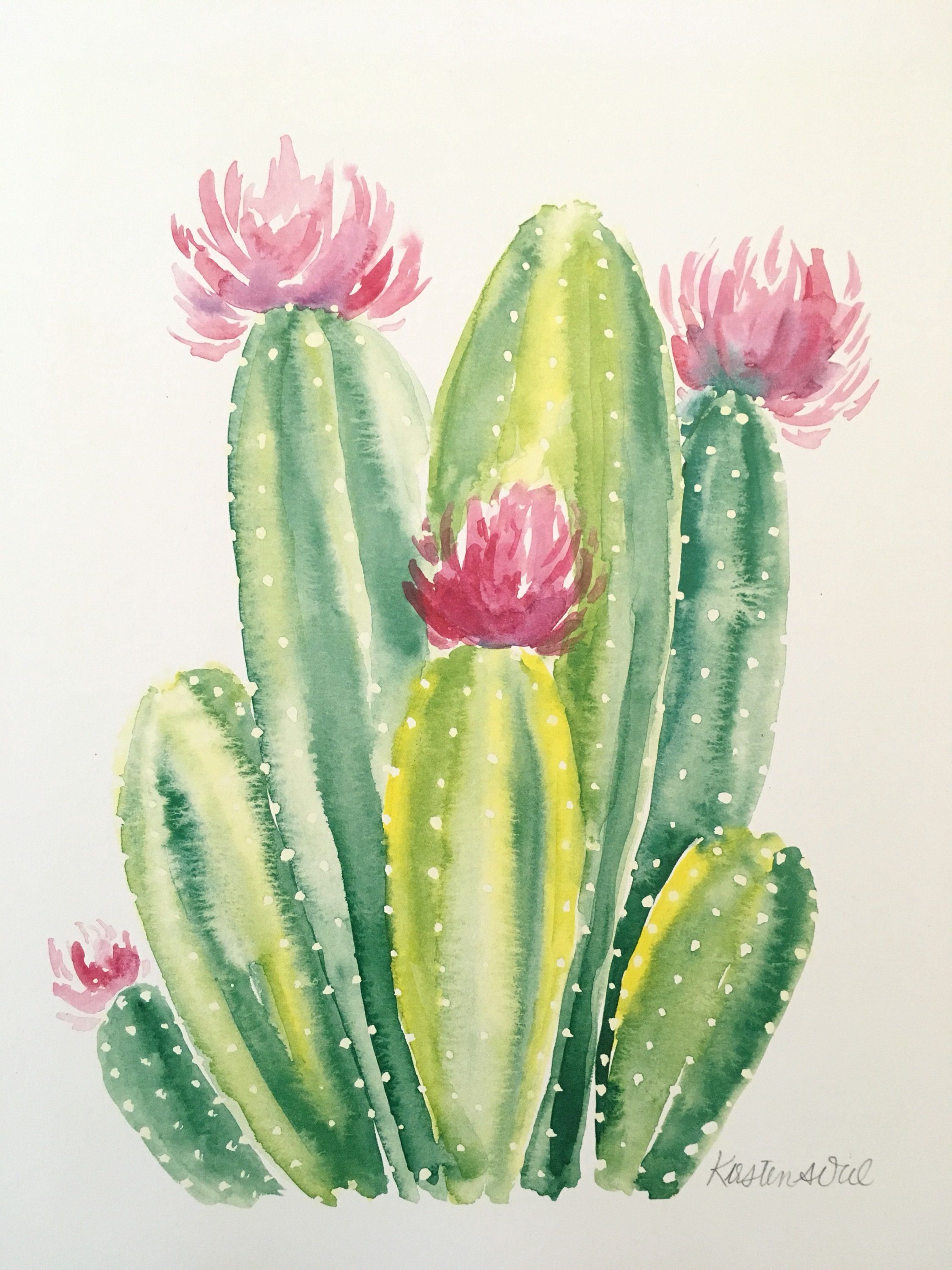 dibujo cactus acuarela