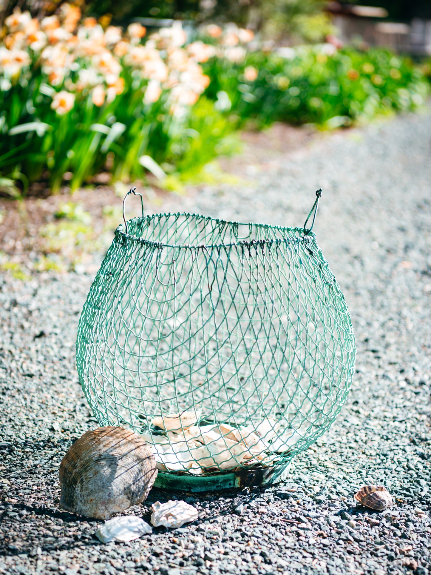 vintage fish trap