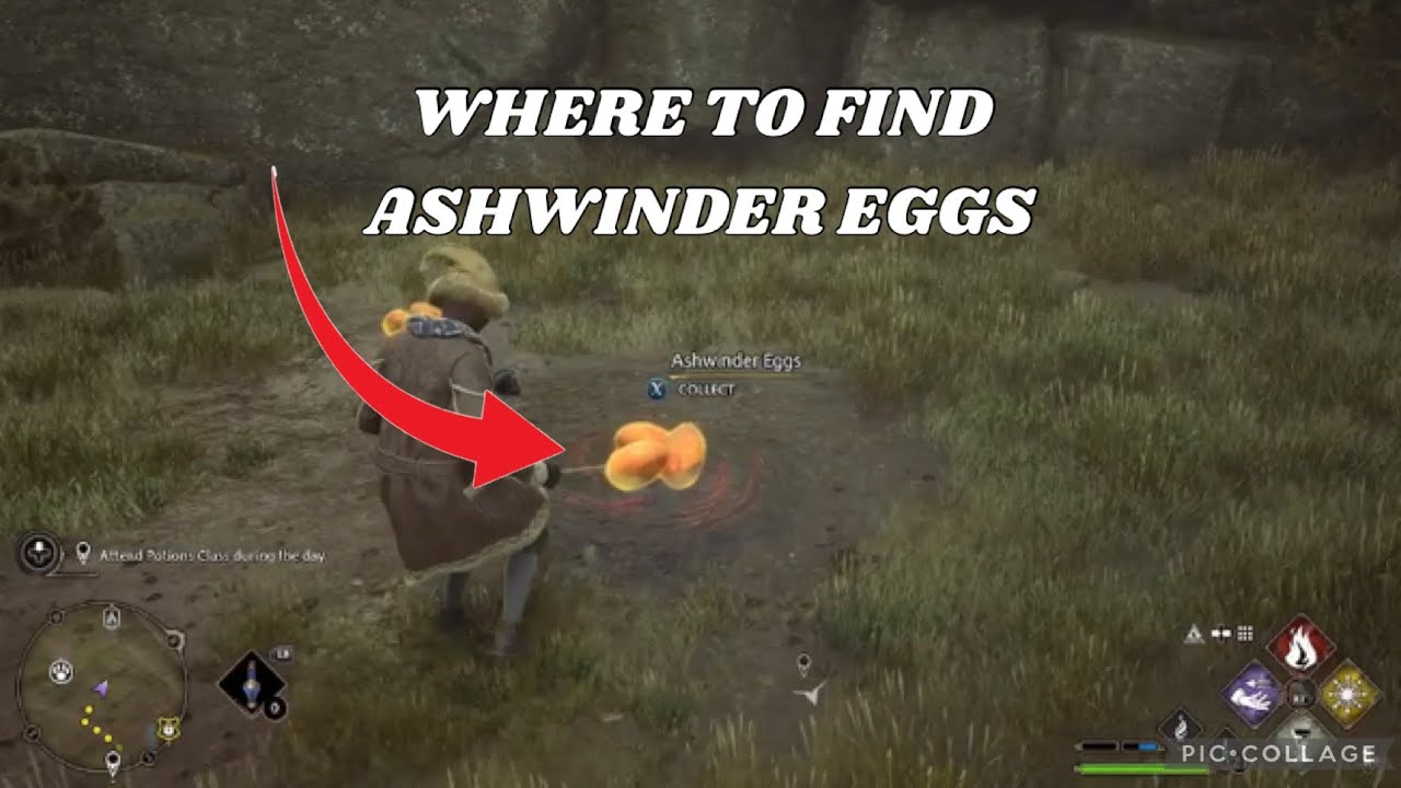 how to get ashwinder eggs