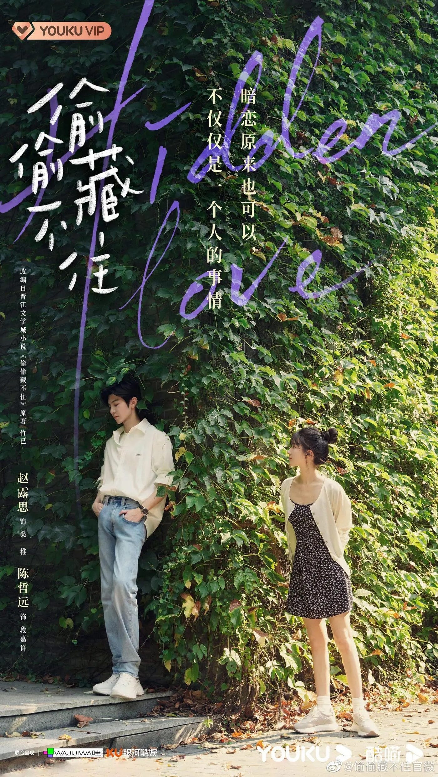 hidden love cdrama