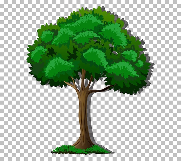 tree transparent clipart