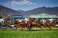 entries for santa anita park