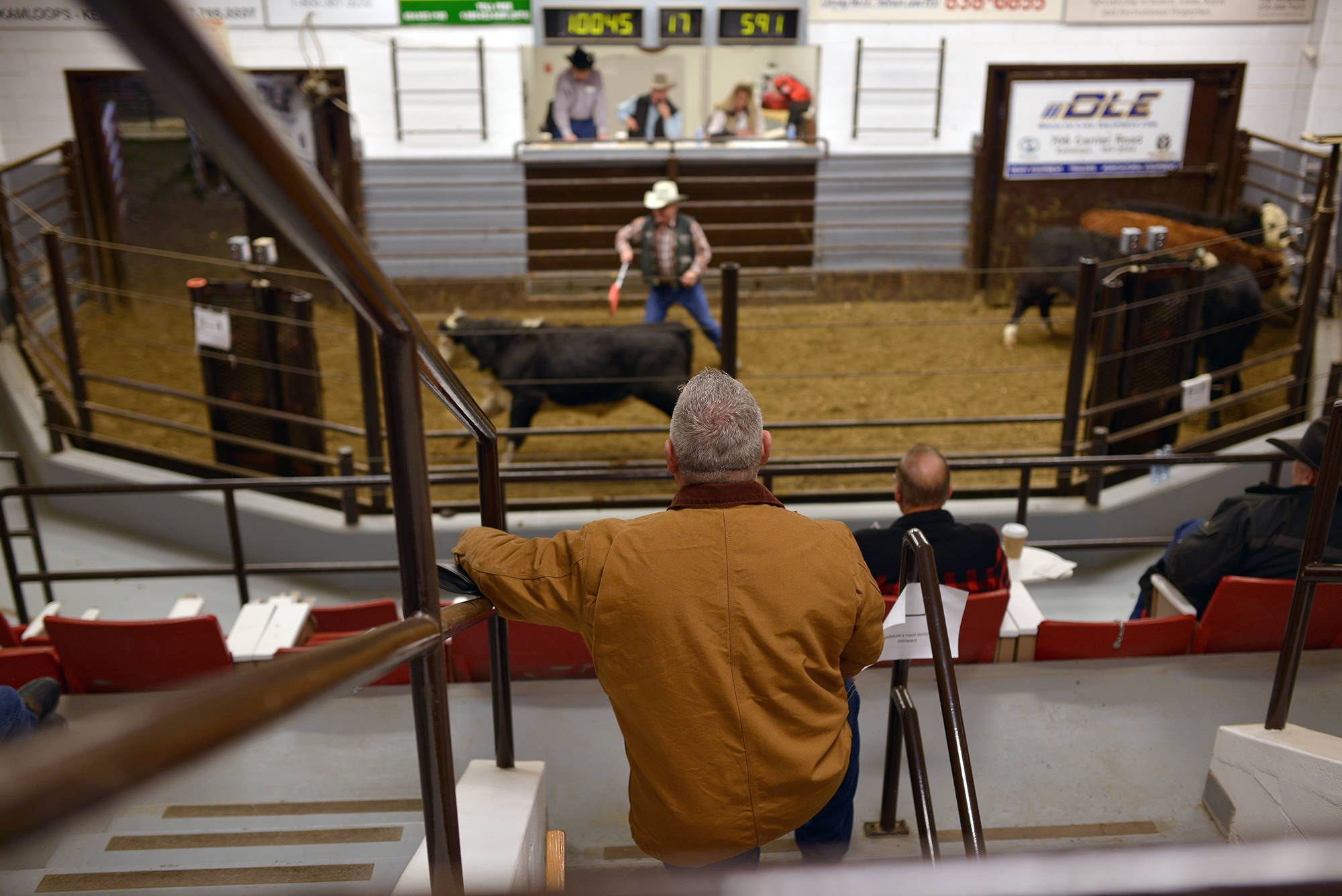 kamloops livestock auction