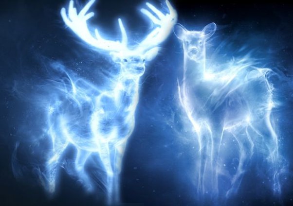 lilys patronus