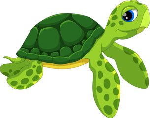 dibujo turtle