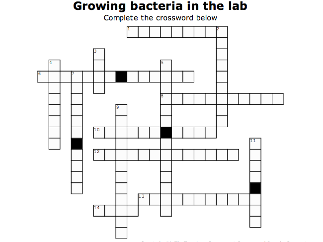 plant disease crossword