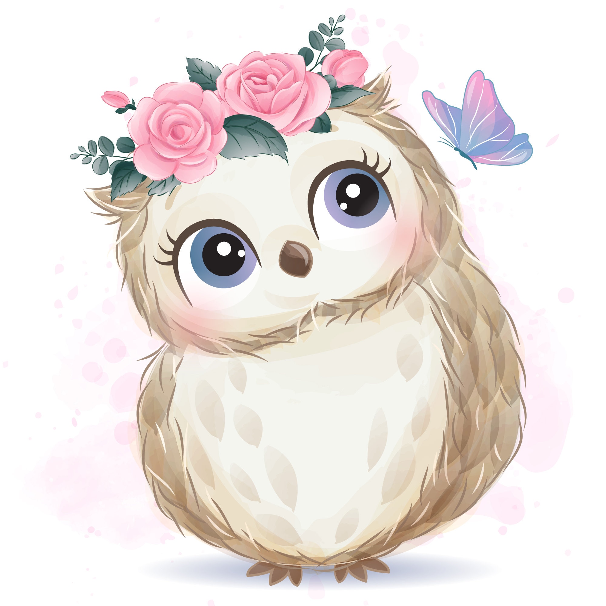 cute owl pictures